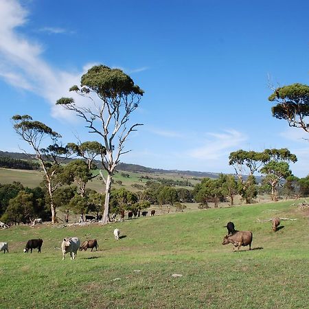 Back Valley Farmstay Bed And Breakfast Victor Harbor Exteriör bild