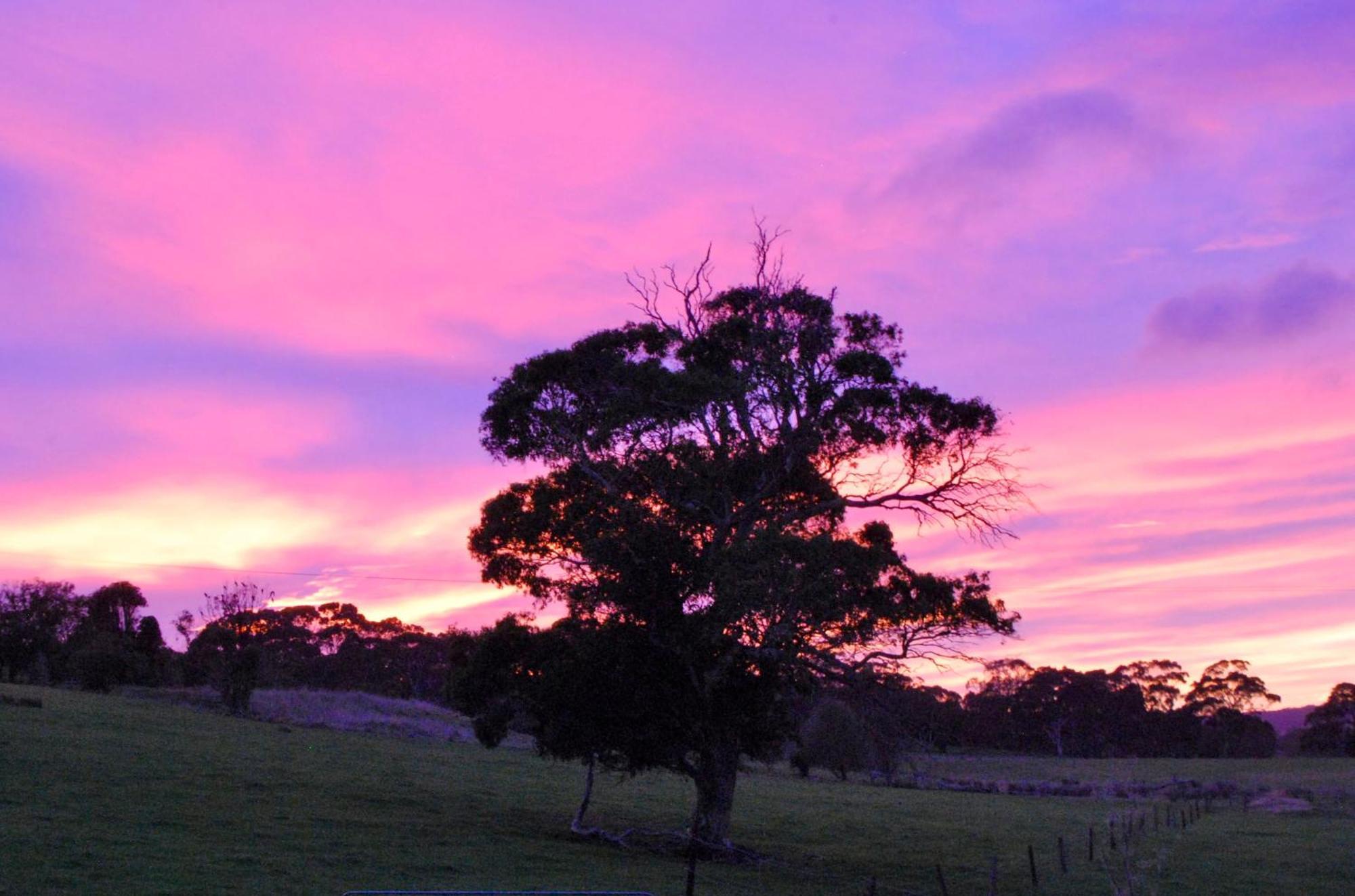 Back Valley Farmstay Bed And Breakfast Victor Harbor Exteriör bild