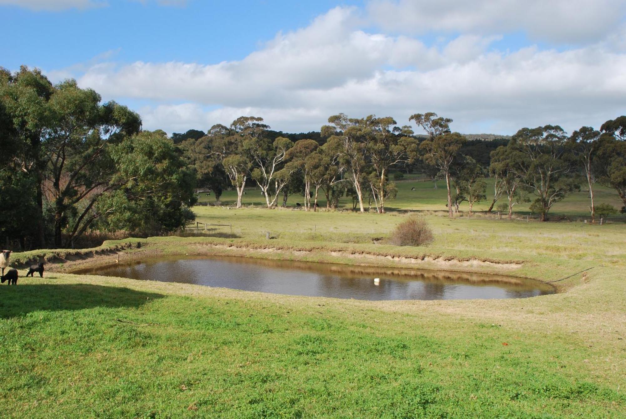 Back Valley Farmstay Bed And Breakfast Victor Harbor Exteriör bild