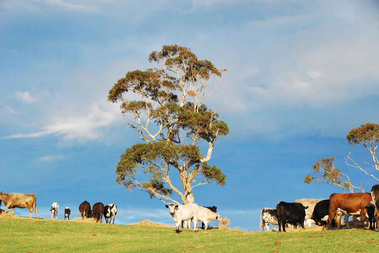 Back Valley Farmstay Bed And Breakfast Victor Harbor Exteriör bild