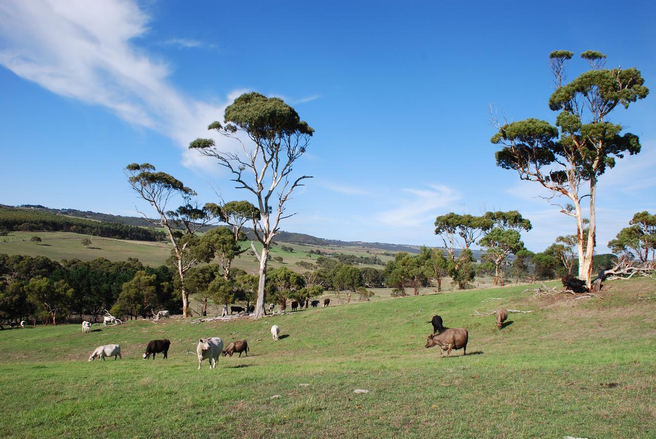 Back Valley Farmstay Bed And Breakfast Victor Harbor Exteriör bild